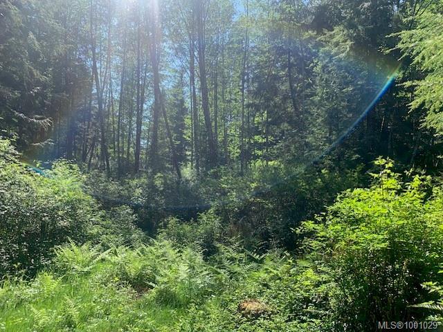 









58


Busby

Island,
Sonora Island,




BC
V0N 3P0

