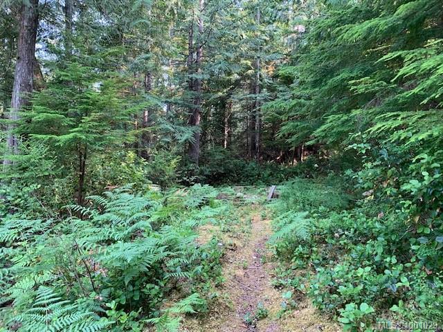 









58


Busby

Island,
Sonora Island,




BC
V0N 3P0

