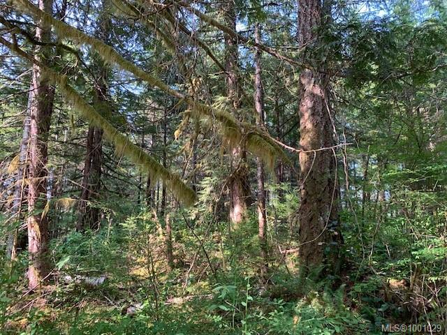 









58


Busby

Island,
Sonora Island,




BC
V0N 3P0

