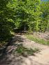 Land/Lot