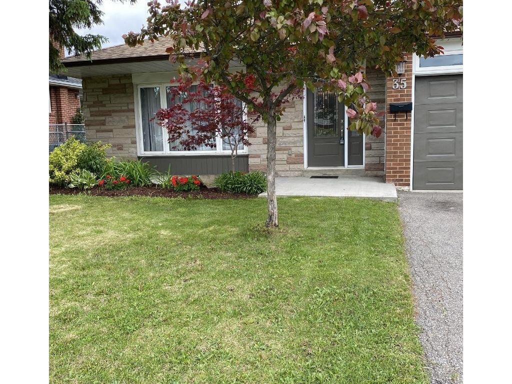 









35


Aintree

Crescent,
Brampton,




ON
L6T 2T2

