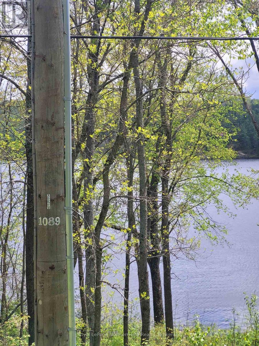












PT L0T 35 CON 10 ANDREWS LANE E

,
Bonfield,







Ontario
P0H1E0

