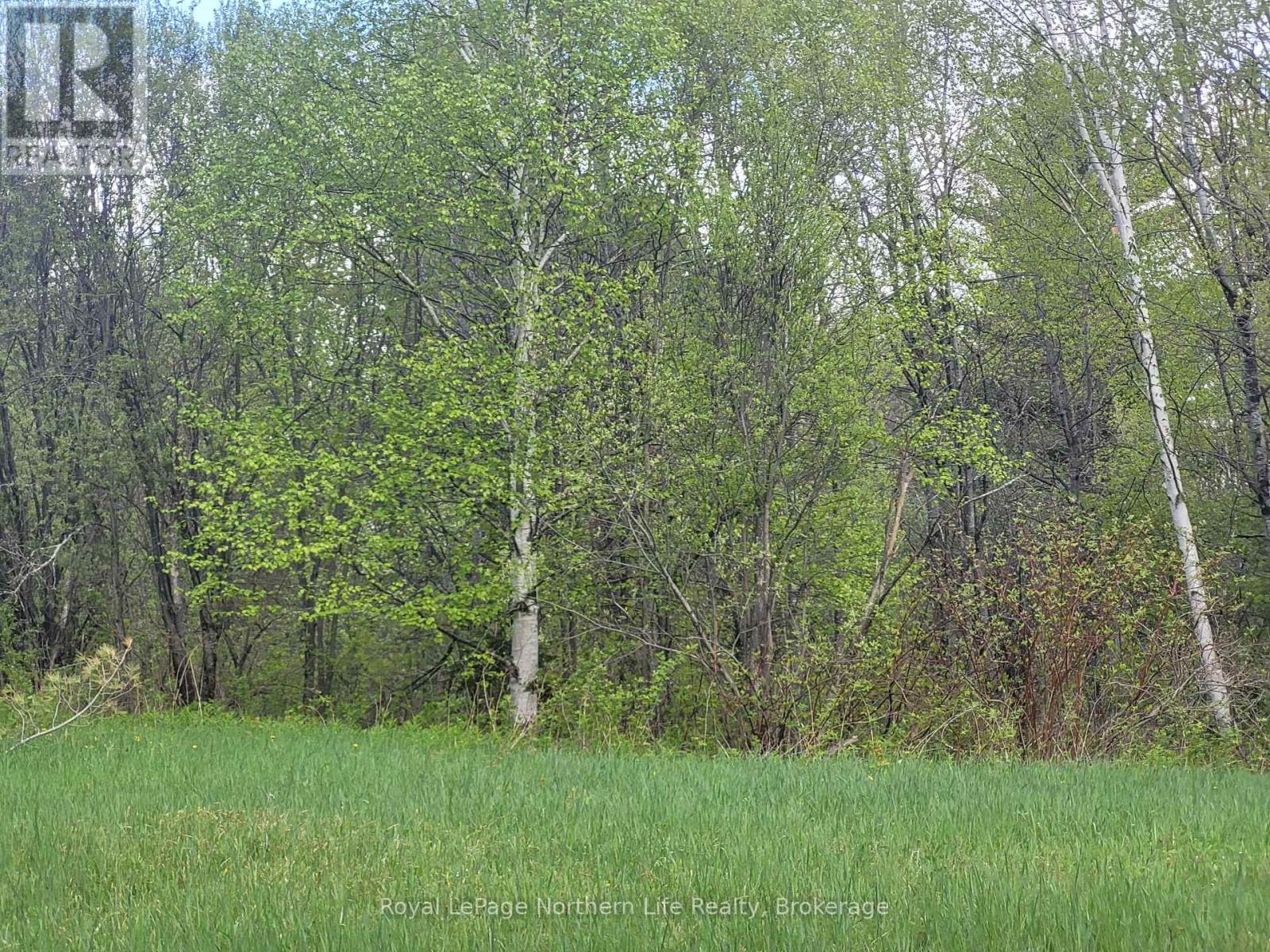 












PT L0T 35 CON 10 ANDREWS LANE E

,
Bonfield,







Ontario
P0H1E0

