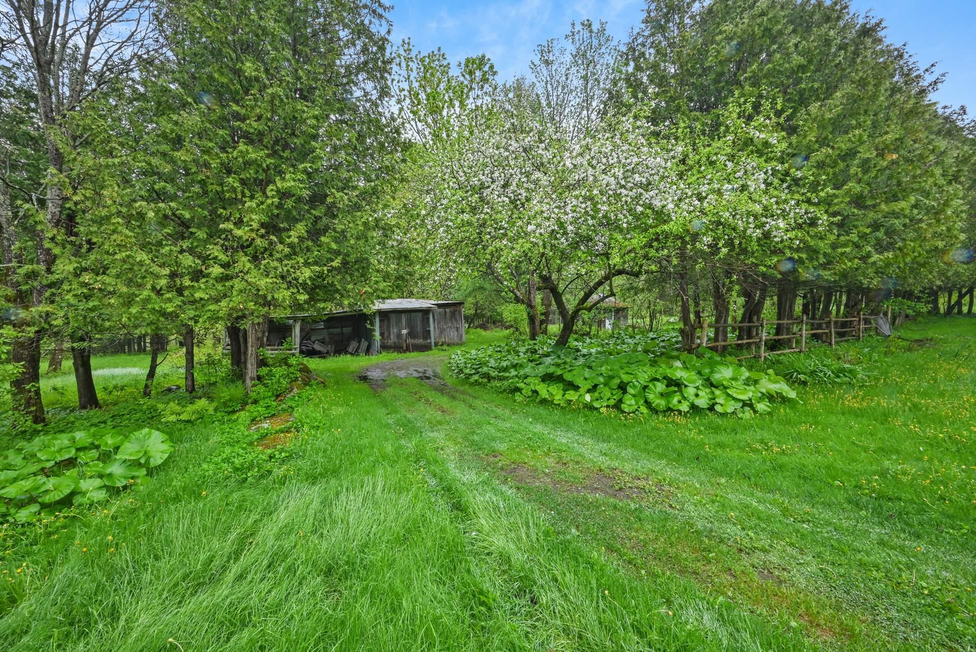 









7052


Ch. Benoit

,
Valcourt - Canton,







QC
J0E2L0

