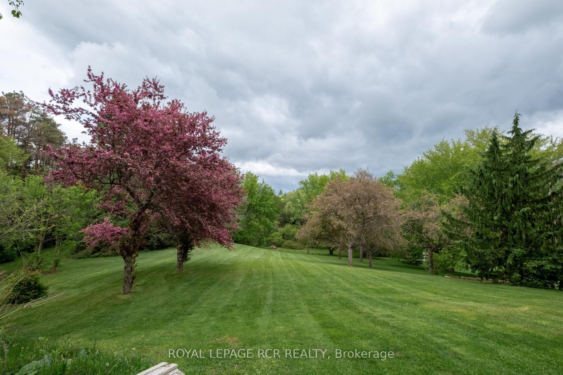 









15667


Duffys

Lane,
Caledon,




ON
L7E 3C8

