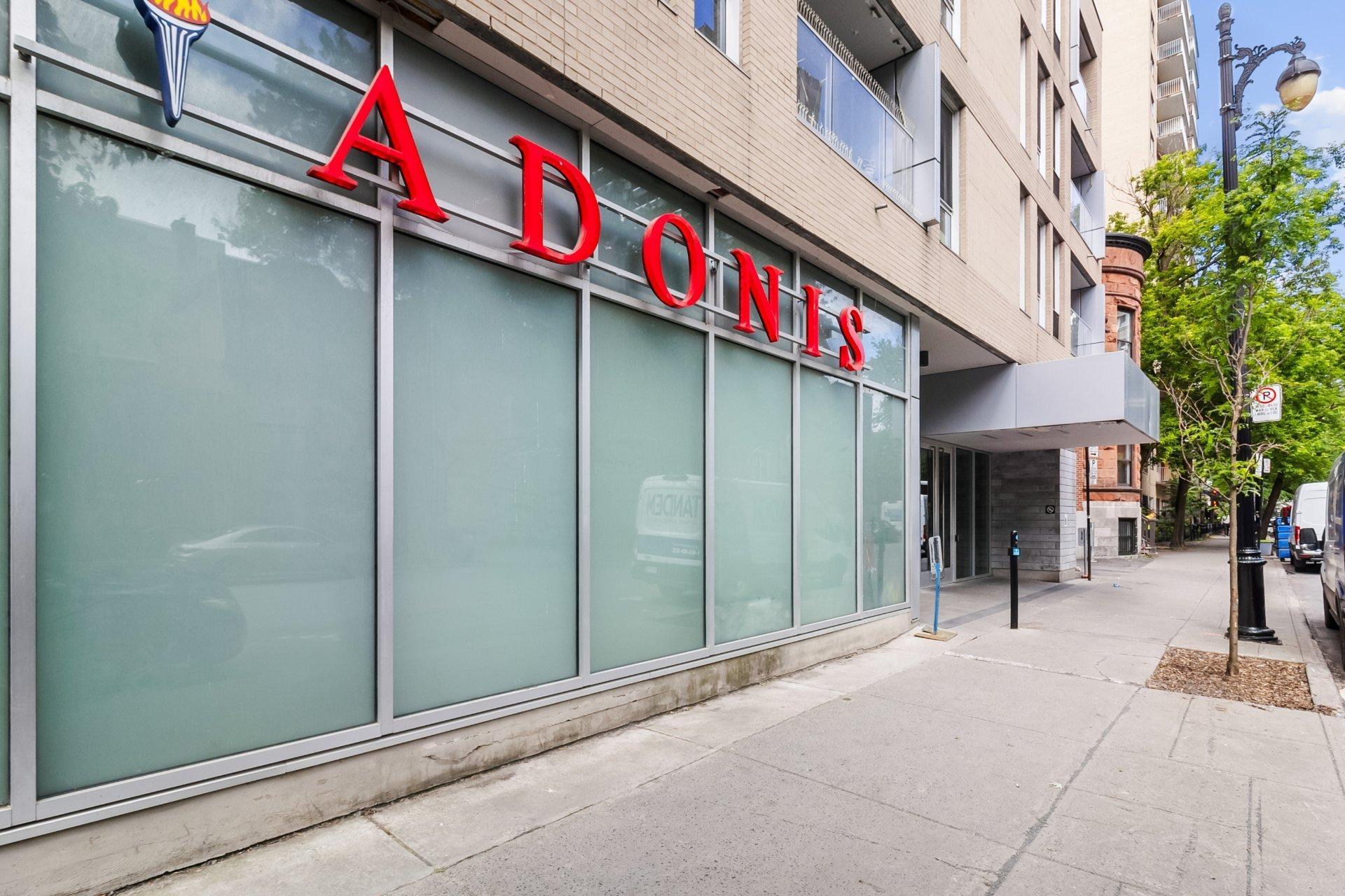 









1414


Rue Chomedey

, 2055,
Montréal (Ville-Marie),




QC
H3H0A2

