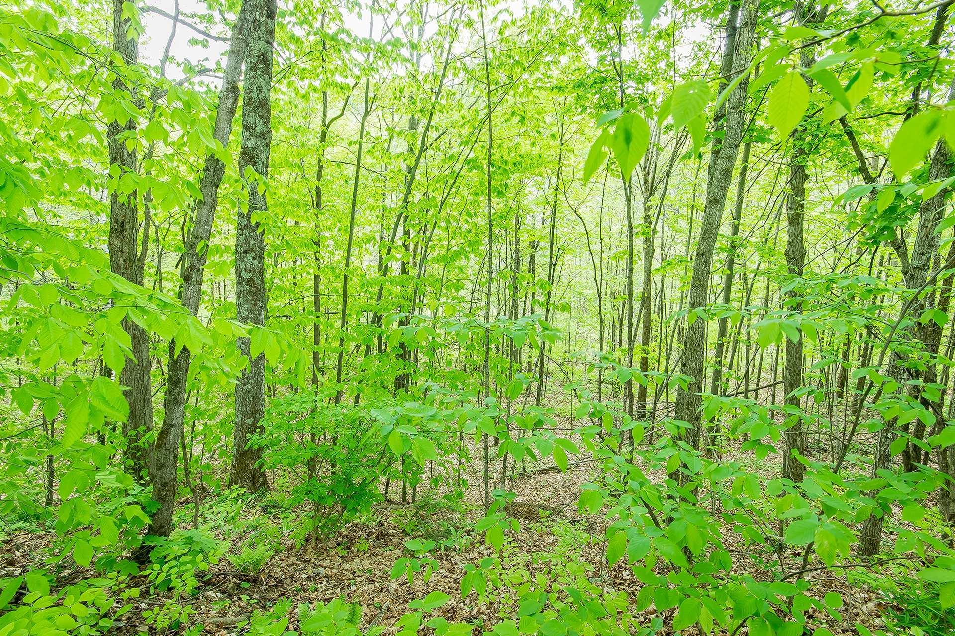









2963


Ch. Donaldson

,
L'Ange-Gardien,




QC
J8L0L3

