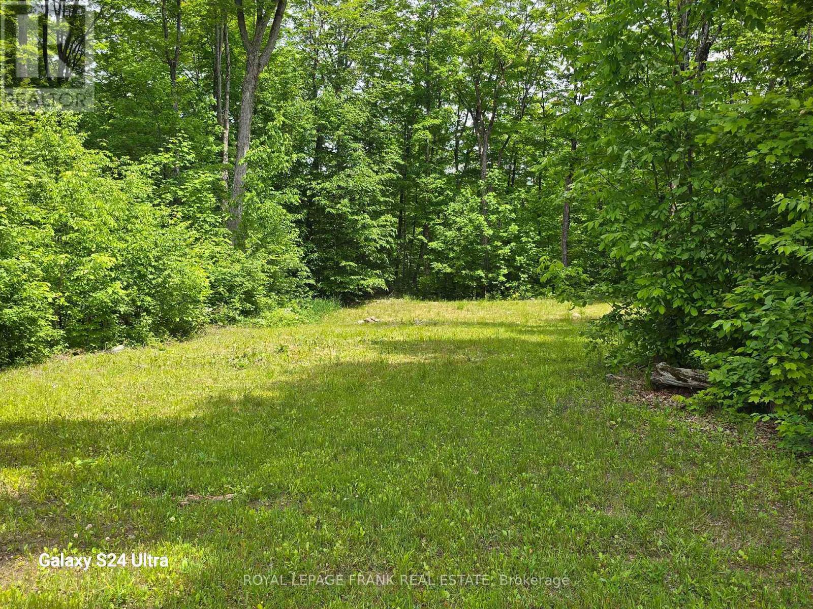 












1097 CHEDDAR ROAD

,
Highlands East (Cardiff Ward),




Ontario
K0L1M0

