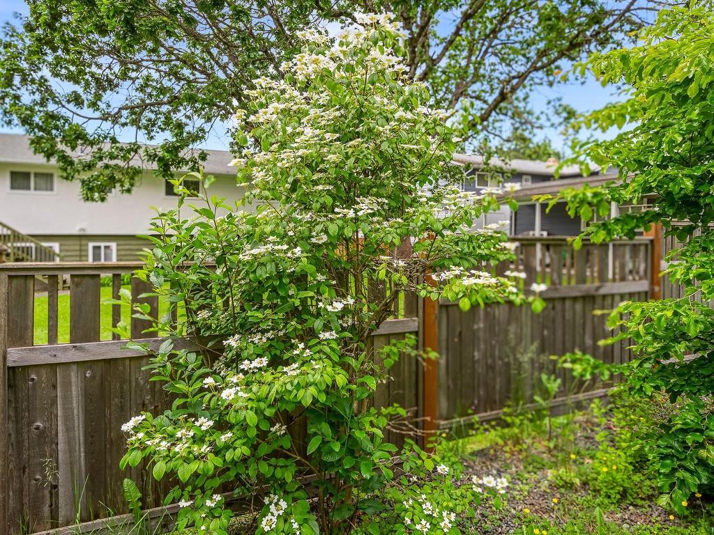 









1608


McLauchlin

Ave,
Courtenay,




BC
B9N 3V8

