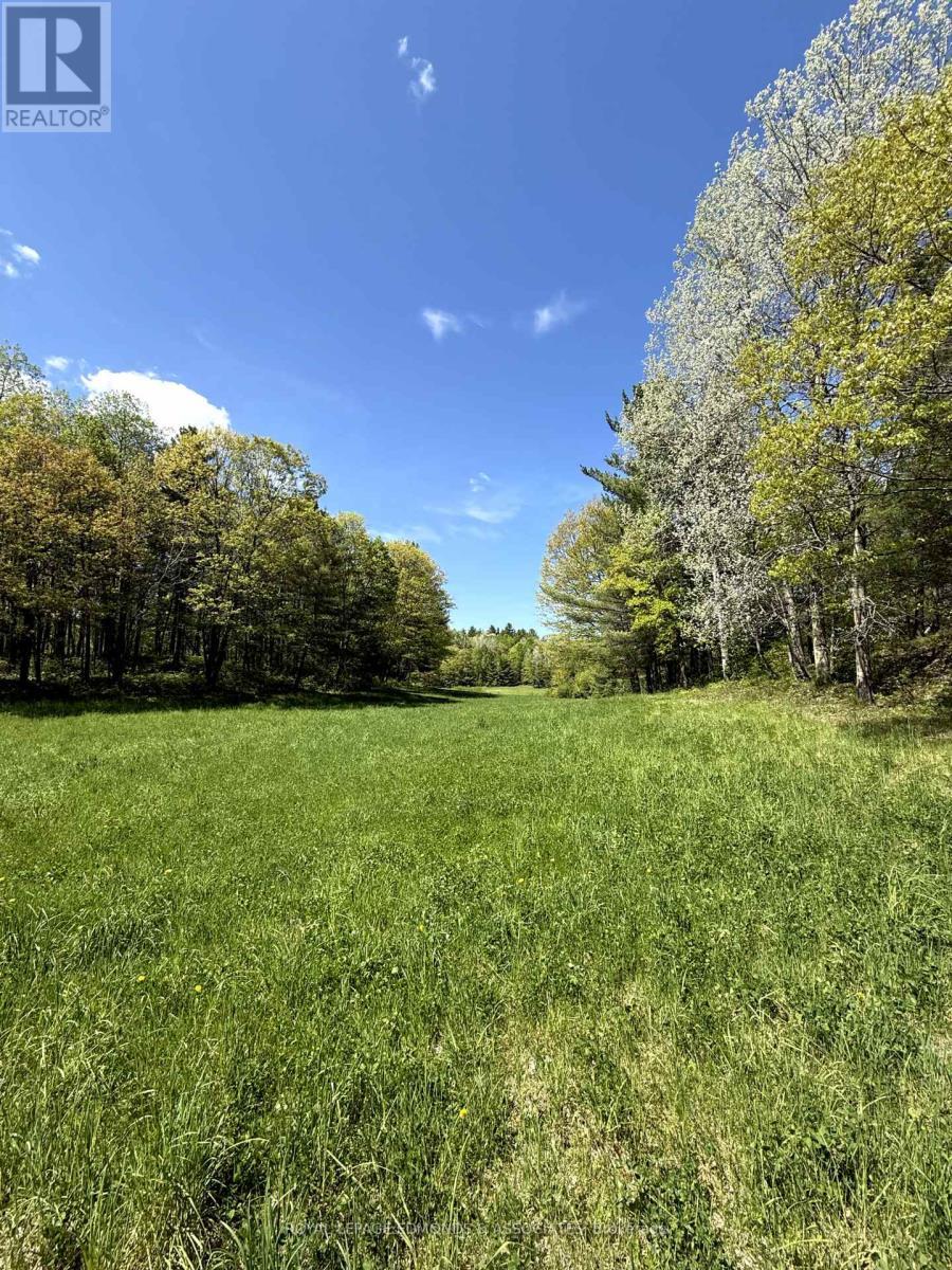 












0 DORAN ROAD

,
Laurentian Valley,







Ontario
K8A6W7

