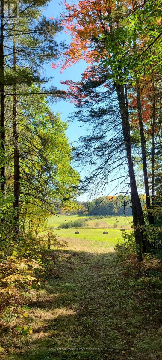 












0 DORAN ROAD

,
Laurentian Valley,







Ontario
K8A6W7

