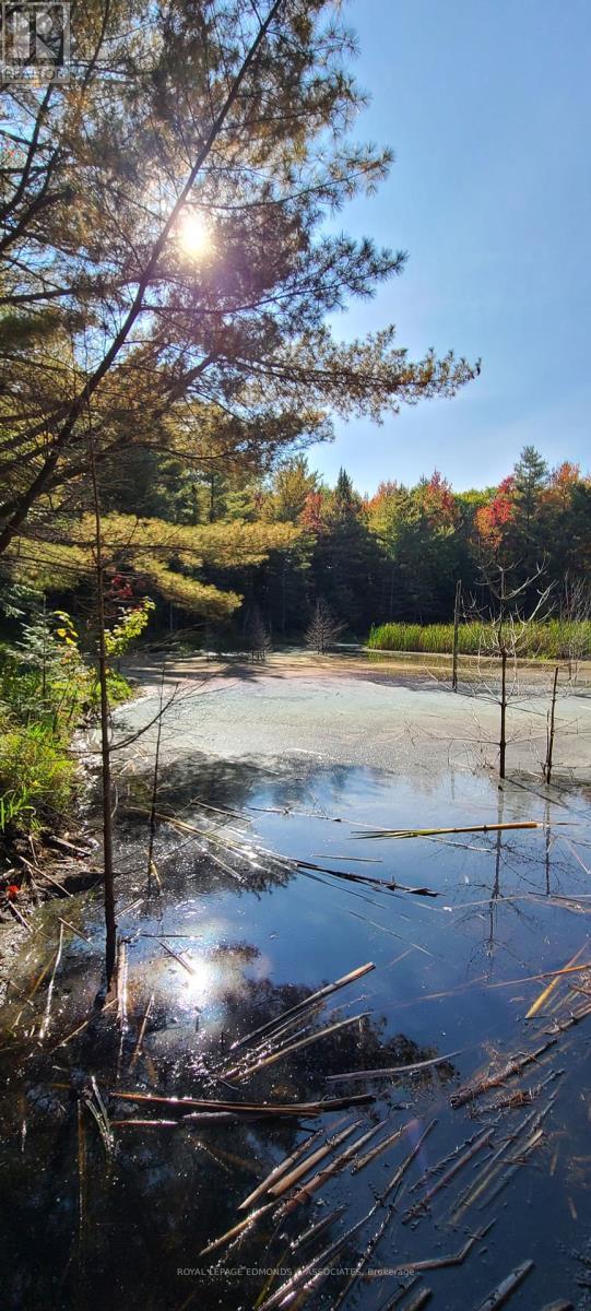 












0 DORAN ROAD

,
Laurentian Valley,







Ontario
K8A6W7

