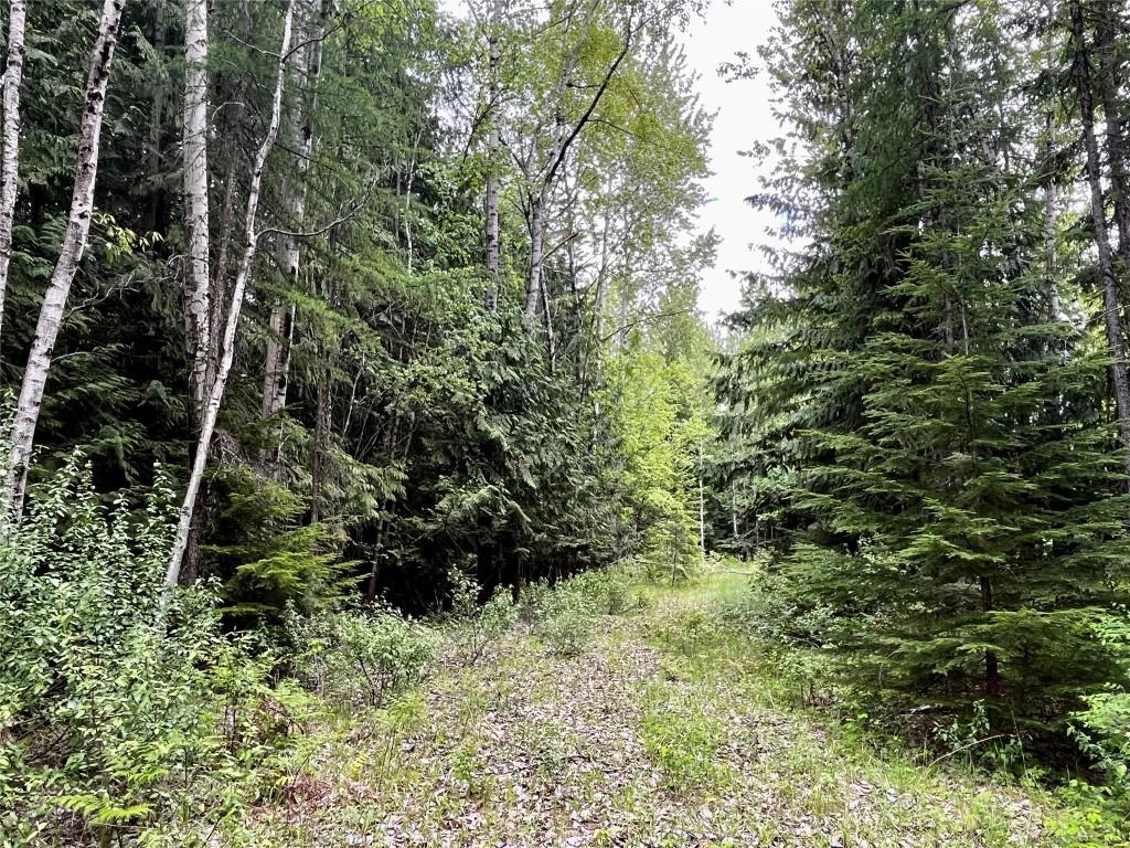 









Lot 3 & 4


Robazzo

Road,
Burton,







BC
V0G 1R0

