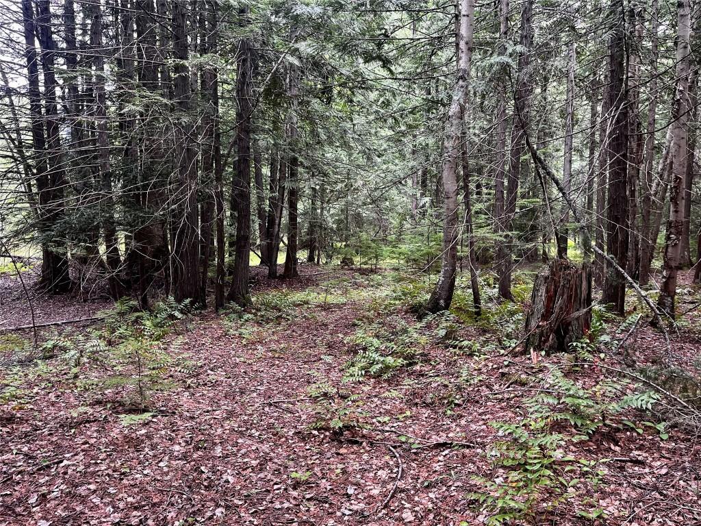 









Lot 3 & 4


Robazzo

Road,
Burton,







BC
V0G 1R0

