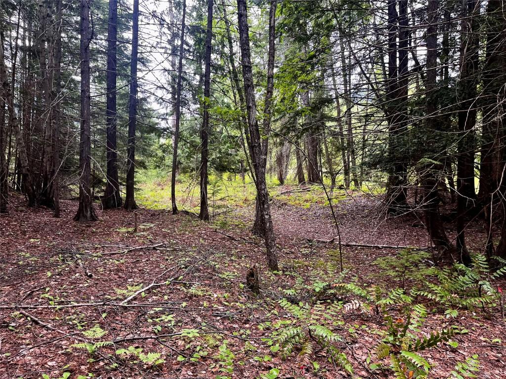 









Lot 3 & 4


Robazzo

Road,
Burton,







BC
V0G 1R0

