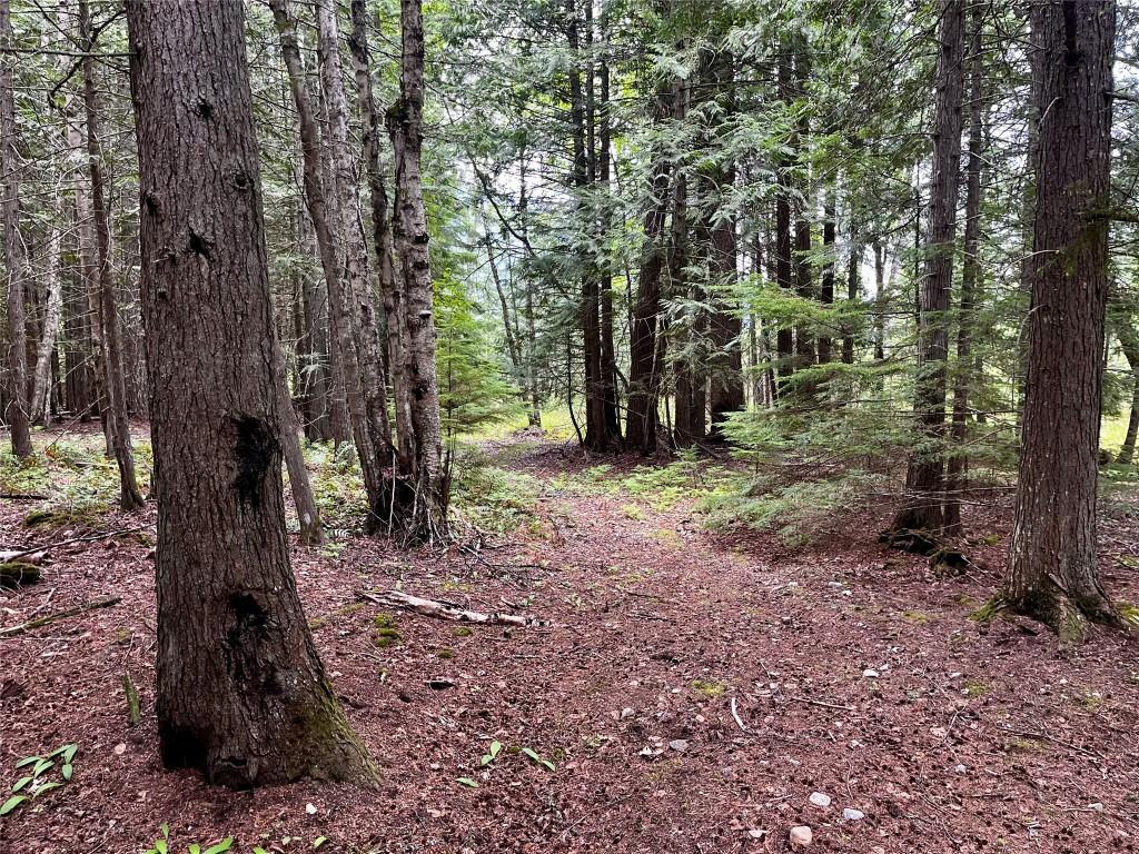 









Lot 3 & 4


Robazzo

Road,
Burton,







BC
V0G 1R0

