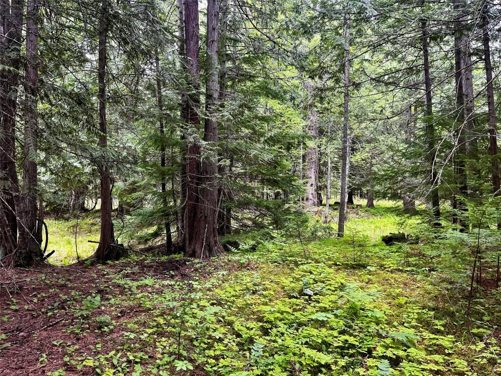 









Lot 3 & 4


Robazzo

Road,
Burton,







BC
V0G 1R0


