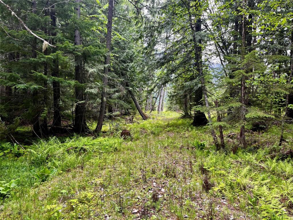 









Lot 3 & 4


Robazzo

Road,
Burton,







BC
V0G 1R0

