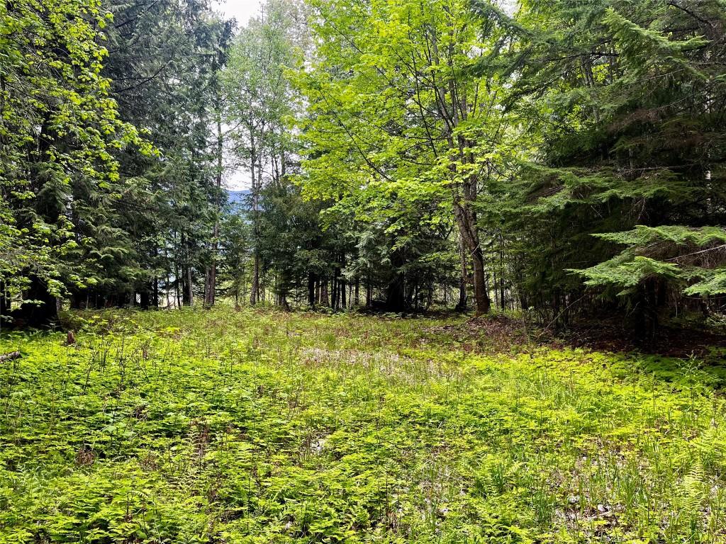 









Lot 3 & 4


Robazzo

Road,
Burton,







BC
V0G 1R0

