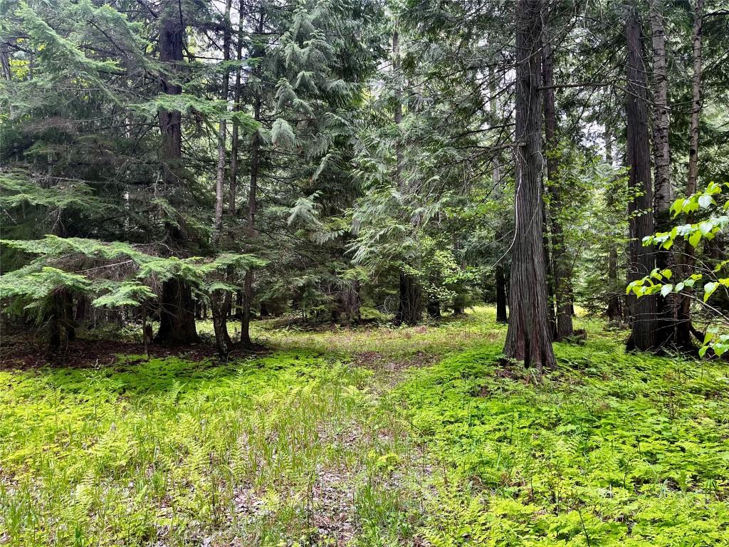 









Lot 3 & 4


Robazzo

Road,
Burton,







BC
V0G 1R0

