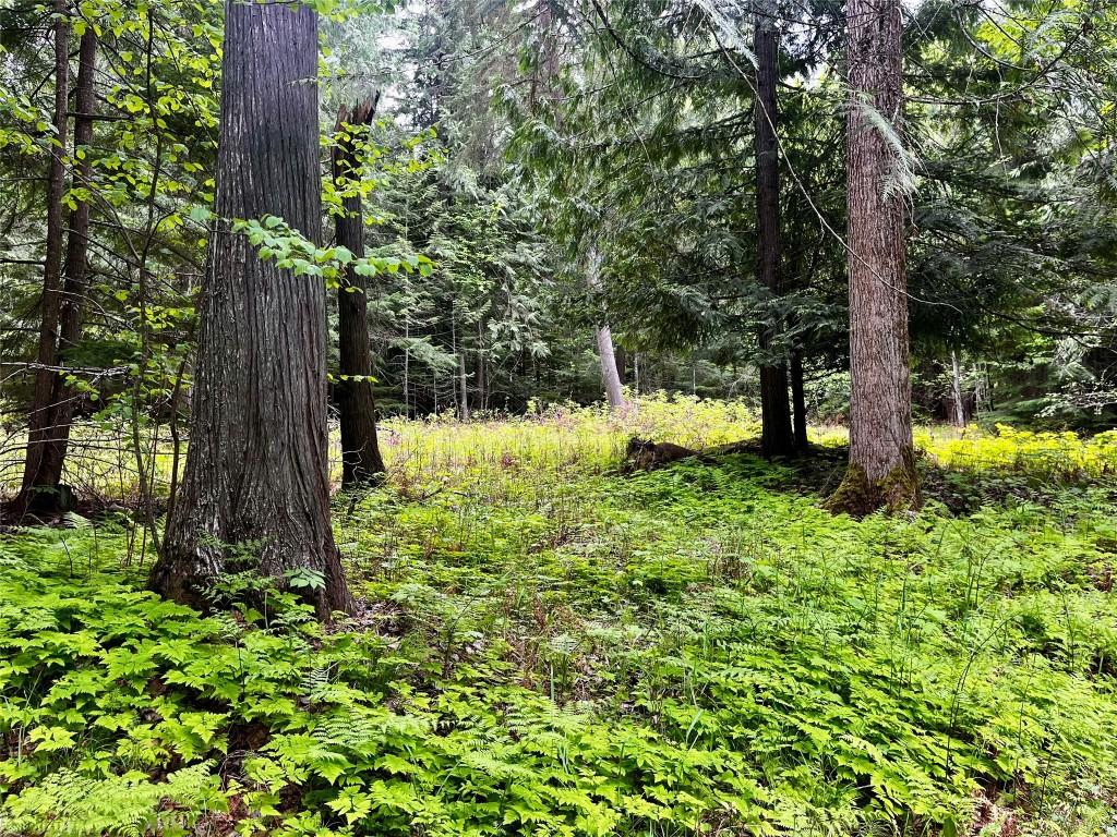 









Lot 3 & 4


Robazzo

Road,
Burton,







BC
V0G 1R0

