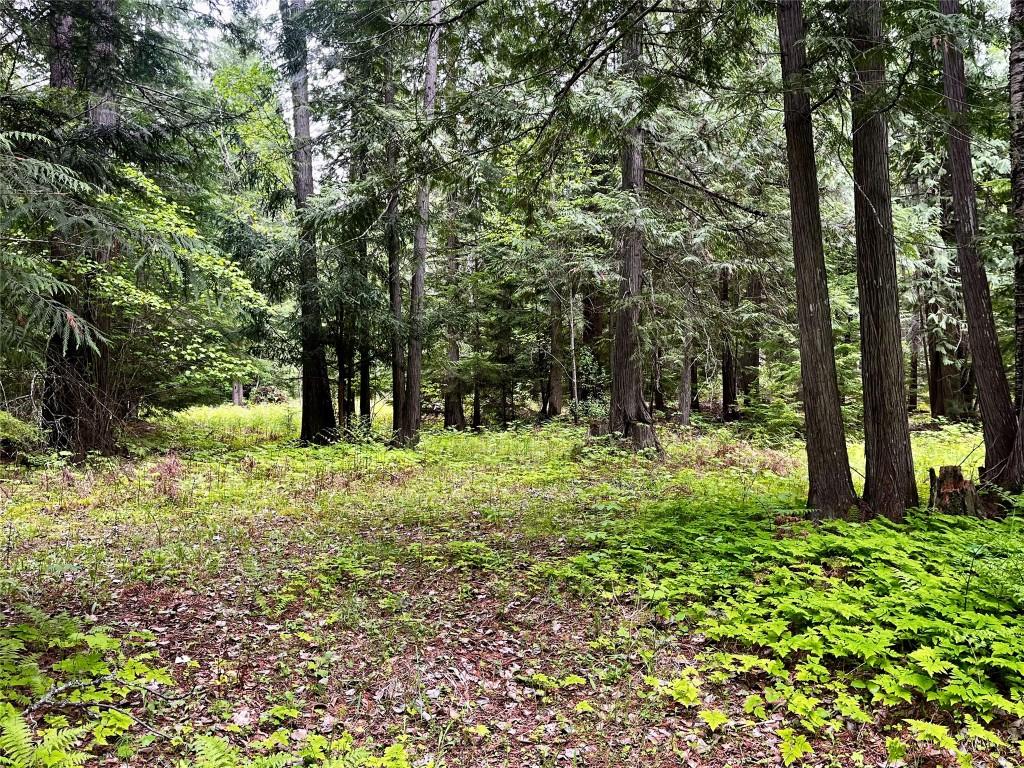 









Lot 3 & 4


Robazzo

Road,
Burton,







BC
V0G 1R0

