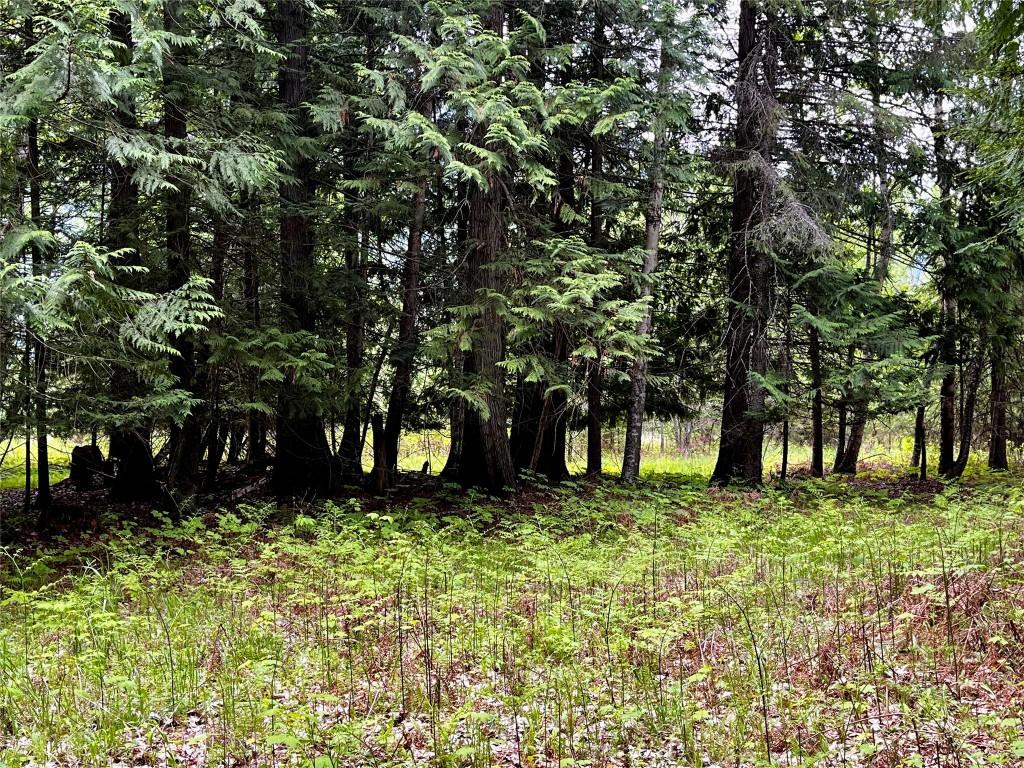 









Lot 3 & 4


Robazzo

Road,
Burton,







BC
V0G 1R0


