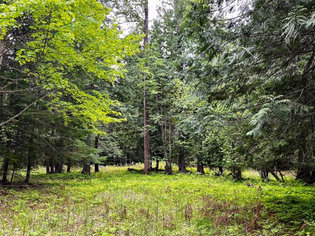 









Lot 3 & 4


Robazzo

Road,
Burton,







BC
V0G 1R0

