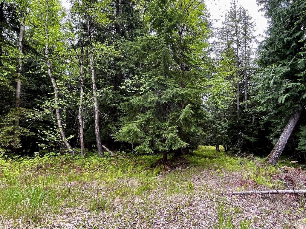 









Lot 3 & 4


Robazzo

Road,
Burton,







BC
V0G 1R0

