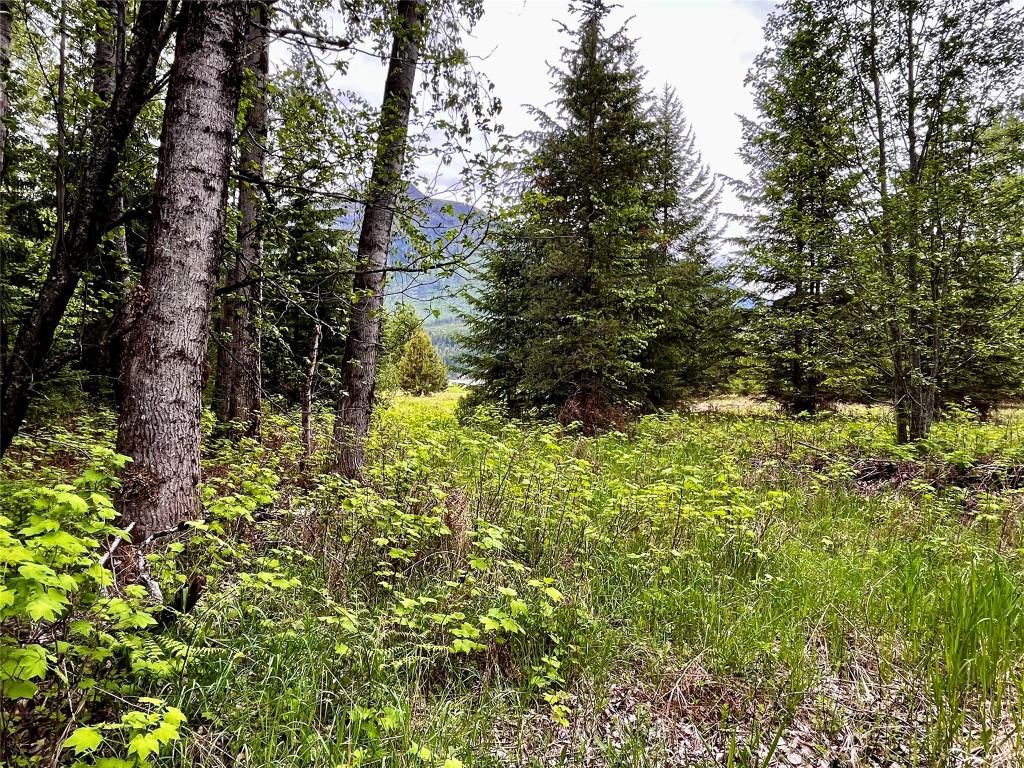 









Lot 3 & 4


Robazzo

Road,
Burton,







BC
V0G 1R0


