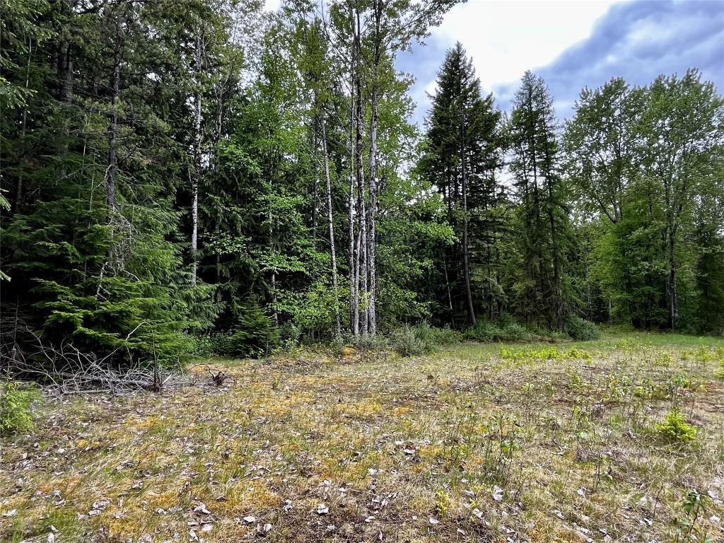 









Lot 3 & 4


Robazzo

Road,
Burton,







BC
V0G 1R0

