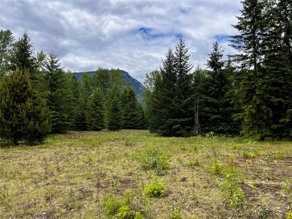 









Lot 3 & 4


Robazzo

Road,
Burton,







BC
V0G 1R0

