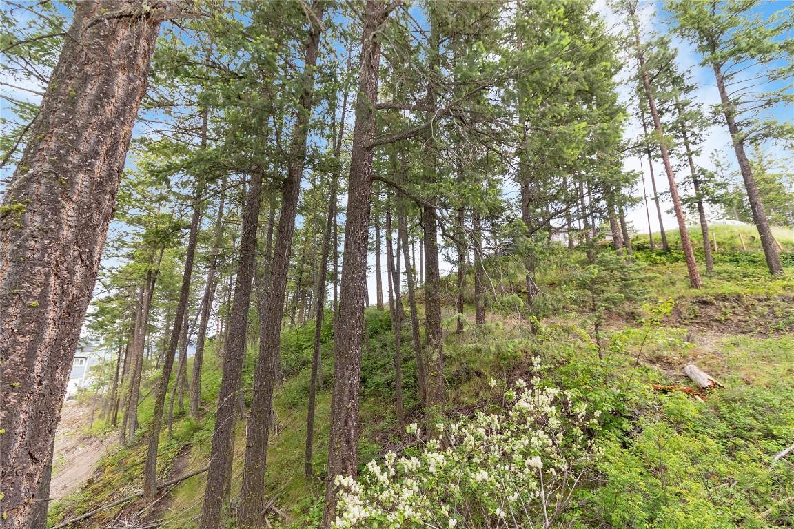 









7801


Alpine

Road,
Fintry,







BC
V1Z 3V4

