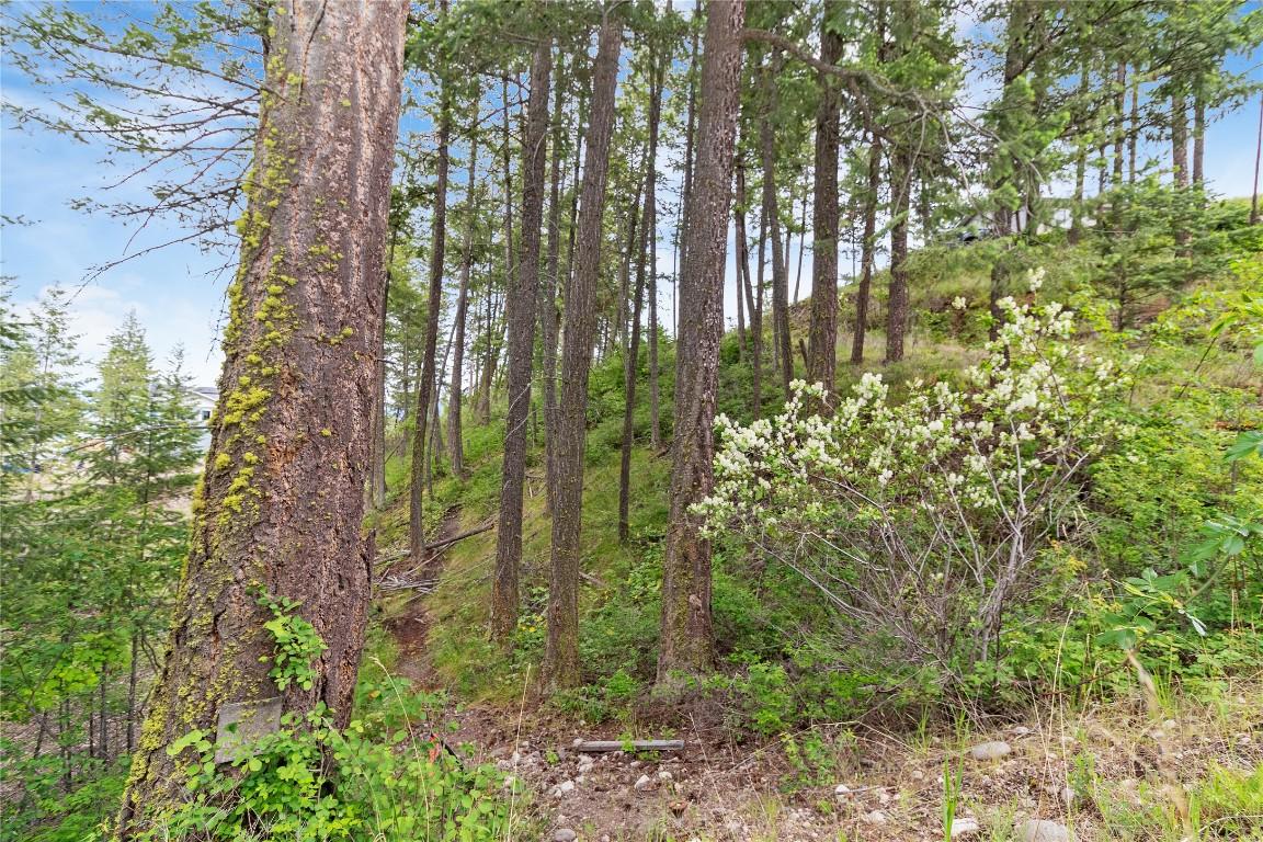









7801


Alpine

Road,
Fintry,







BC
V1Z 3V4

