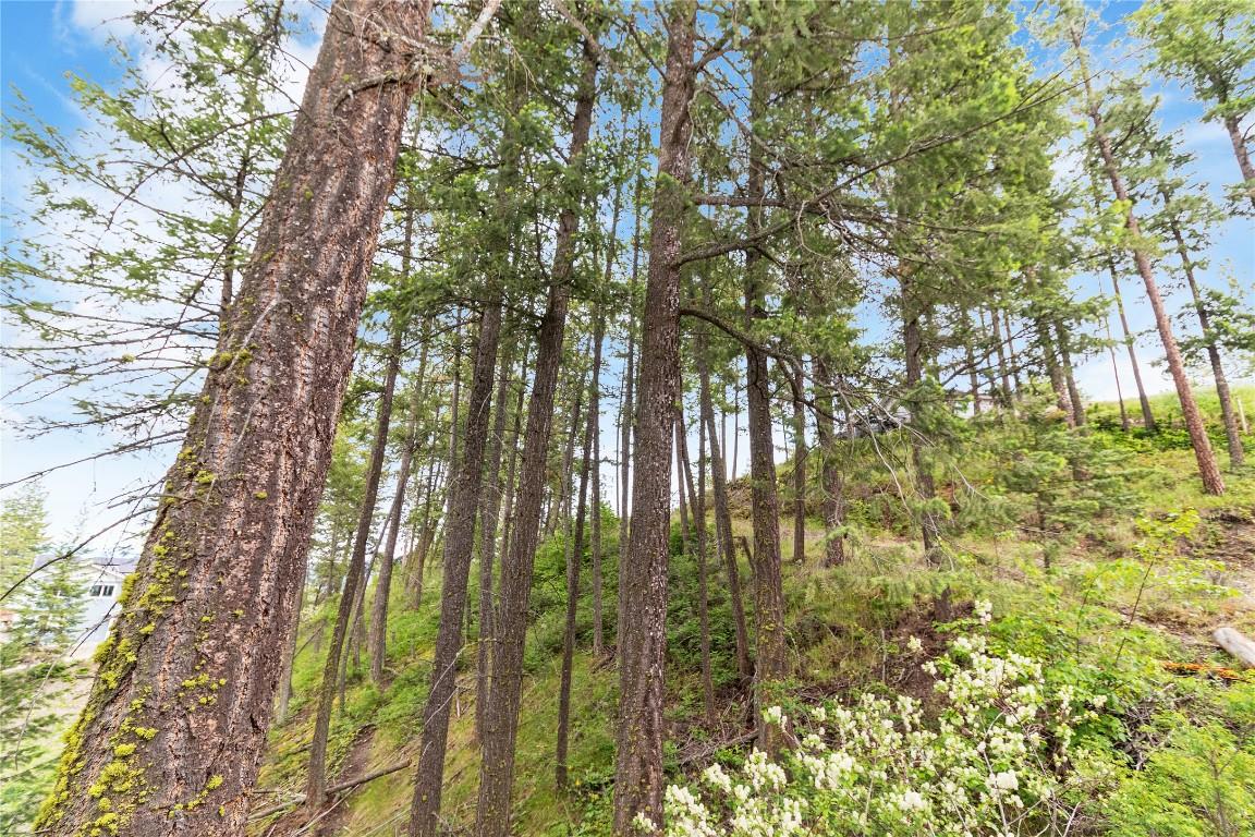 









7801


Alpine

Road,
Fintry,







BC
V1Z 3V4

