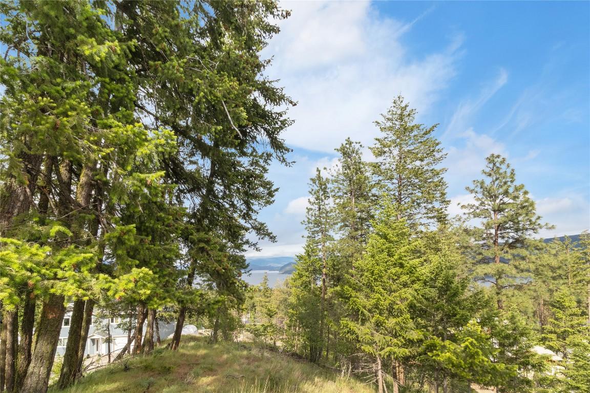 









7801


Alpine

Road,
Fintry,







BC
V1Z 3V4

