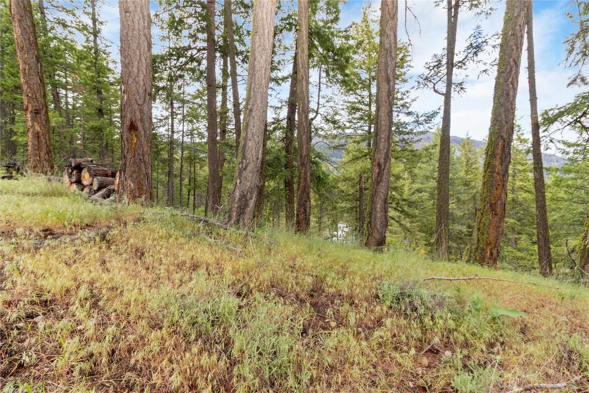 









7801


Alpine

Road,
Fintry,







BC
V1Z 3V4

