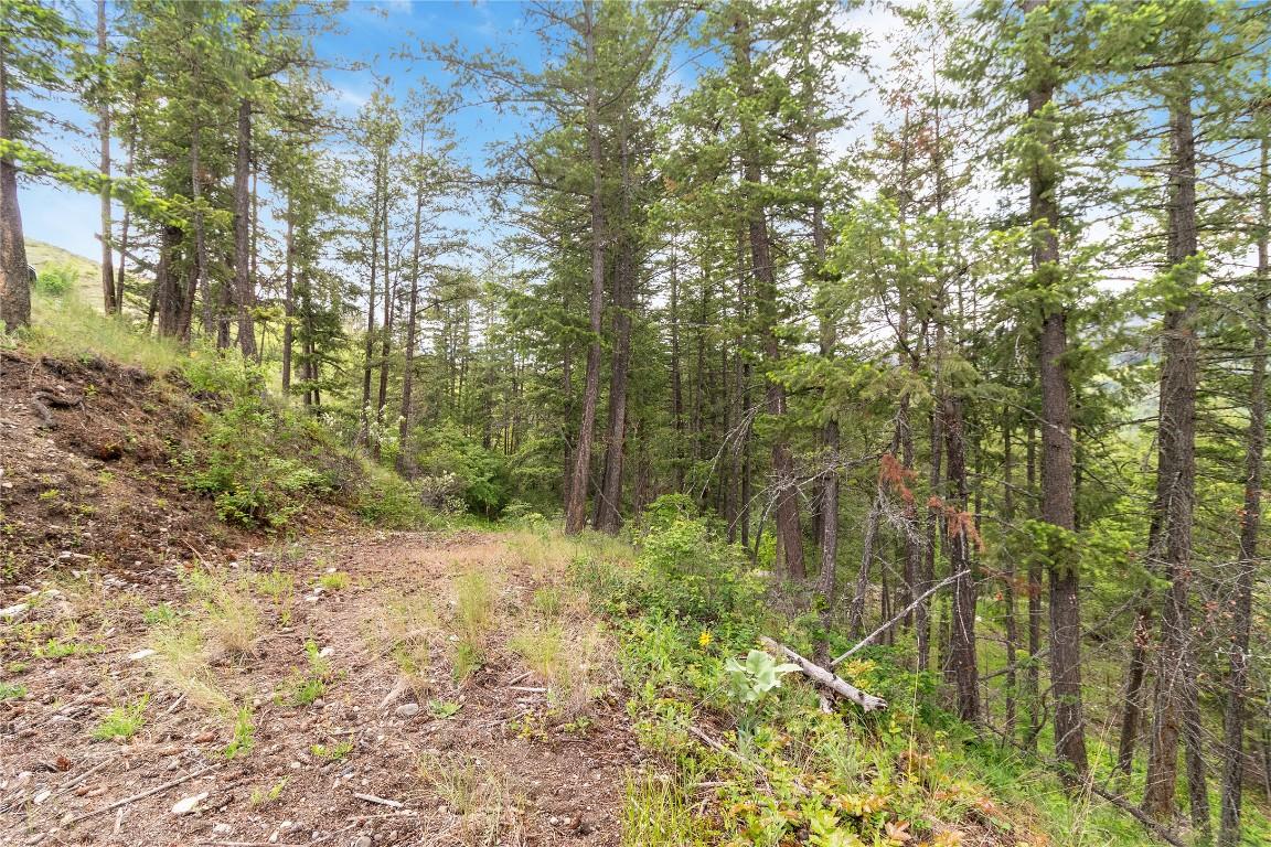 









7801


Alpine

Road,
Fintry,







BC
V1Z 3V4

