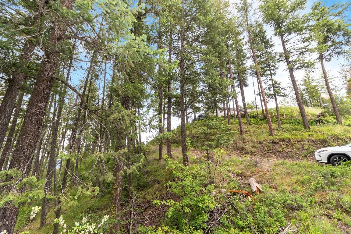 









7801


Alpine

Road,
Fintry,







BC
V1Z 3V4

