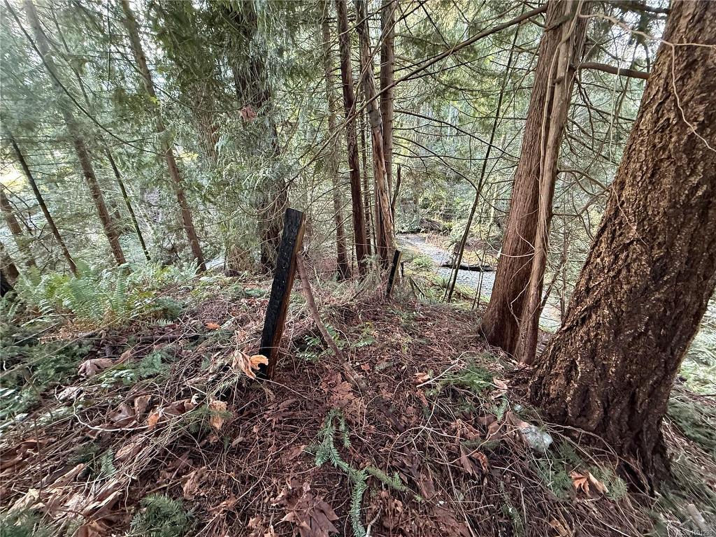 









6756


Doumont

Rd,
Nanaimo,




BC
V9T 6H1

