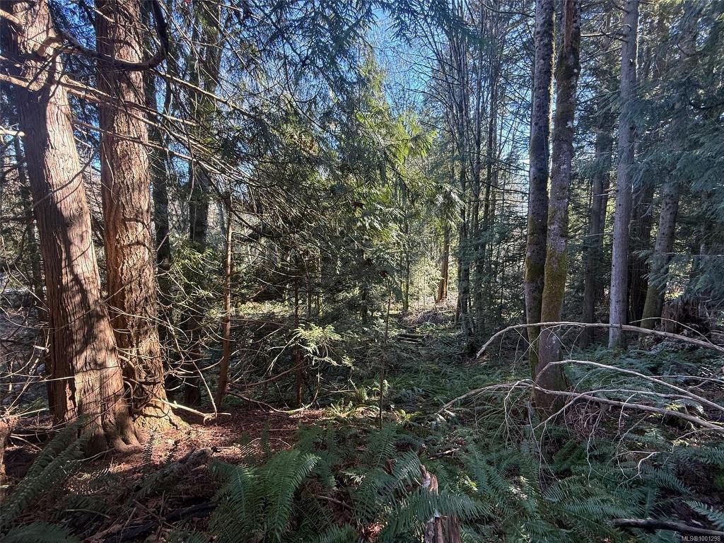 









6756


Doumont

Rd,
Nanaimo,




BC
V9T 6H1

