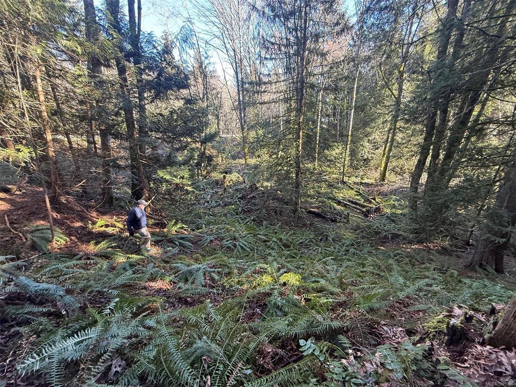 









6756


Doumont

Rd,
Nanaimo,




BC
V9T 6H1

