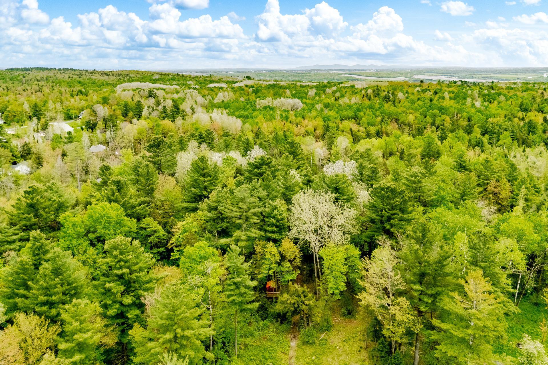 









11


Rue des Mésanges

,
Saint-François-Xavier-de-Brompton,




QC
J0B2V0

