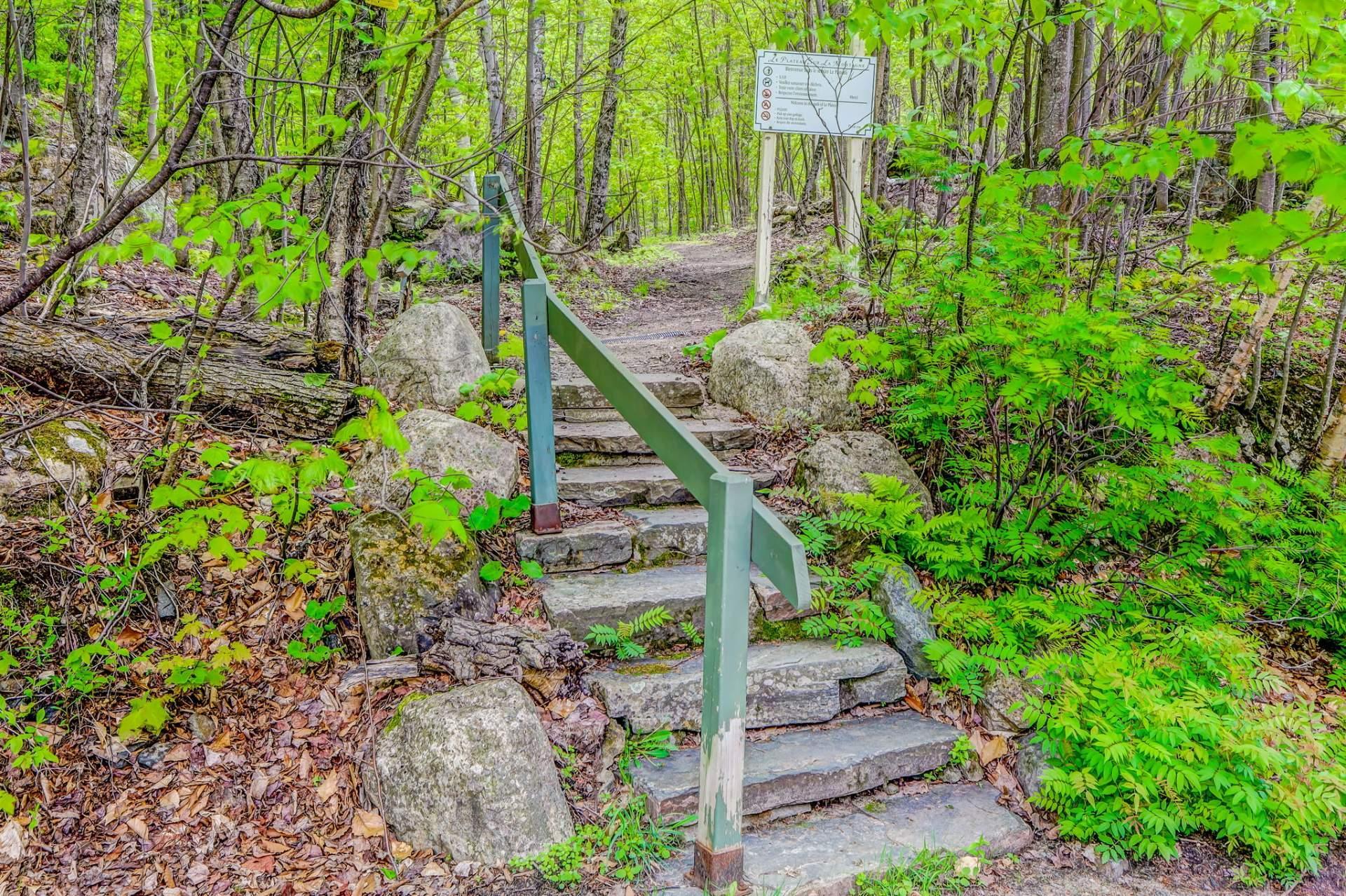 









234


Ch. de la Forêt

, 4,
Mont-Tremblant,




QC
J8E3K3

