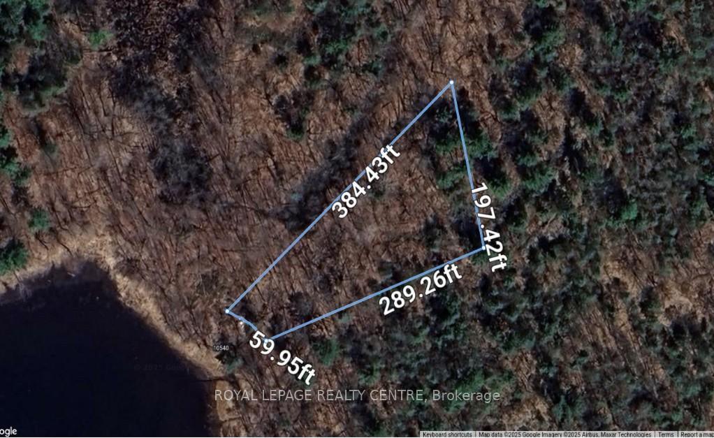 









10540


Georgian Bay Shore

N/A,
Georgian Bay,







ON
L0K 1S0

