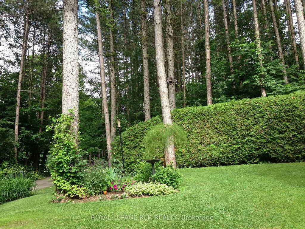 









12


Damascus

Drive,
Caledon,




ON
L7C 0A4

