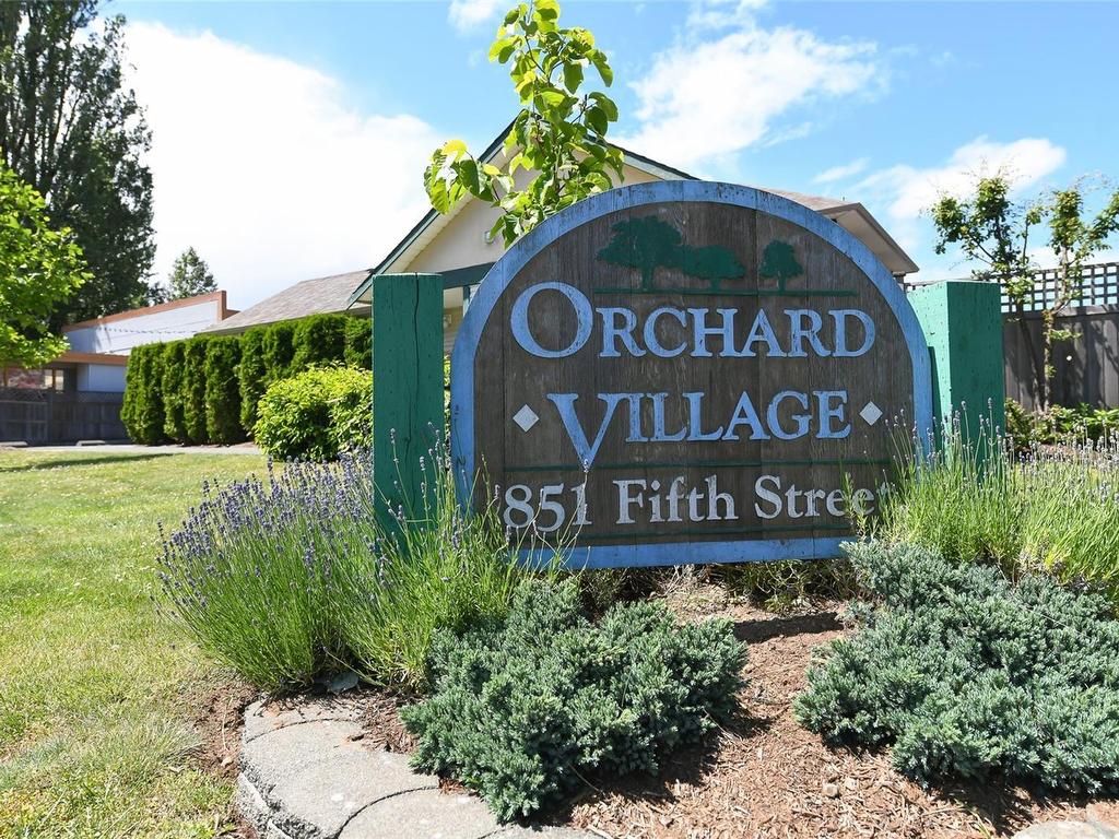 









851


5th

St, 1D,
Courtenay,




BC
V9N 1K8

