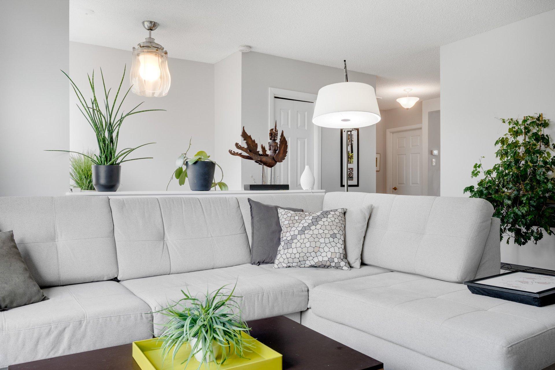 









13


Rue Monseigneur-Forbes

,
Gatineau (Gatineau),




QC
J8T1Y9

