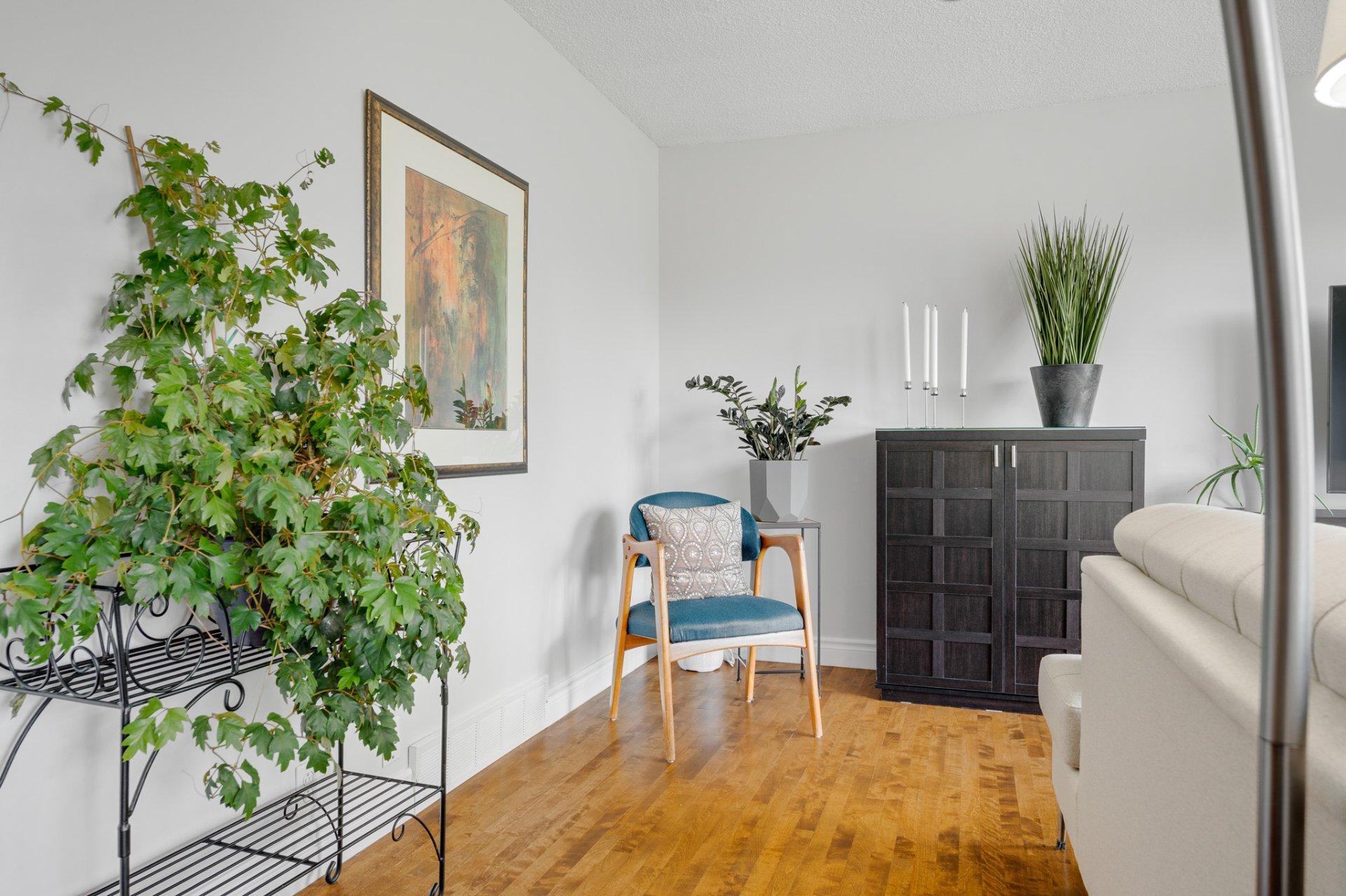 









13


Rue Monseigneur-Forbes

,
Gatineau (Gatineau),




QC
J8T1Y9

