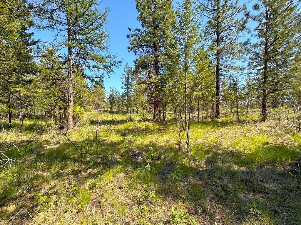 









121


Corral

Boulevard,
Cranbrook,







BC
V1C 0C2

